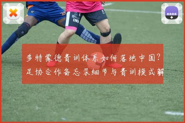 多特蒙德青训体系如何落地中国?足协合作备忘录细节与青训模式解析