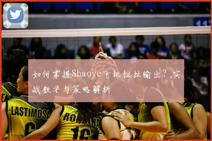 如何掌握Shaoye飞机拉扯输出？实战教学与策略解析